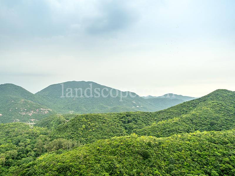 Hong Kong Parkview - Tower 06